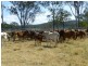 Biggenden QLD 4621