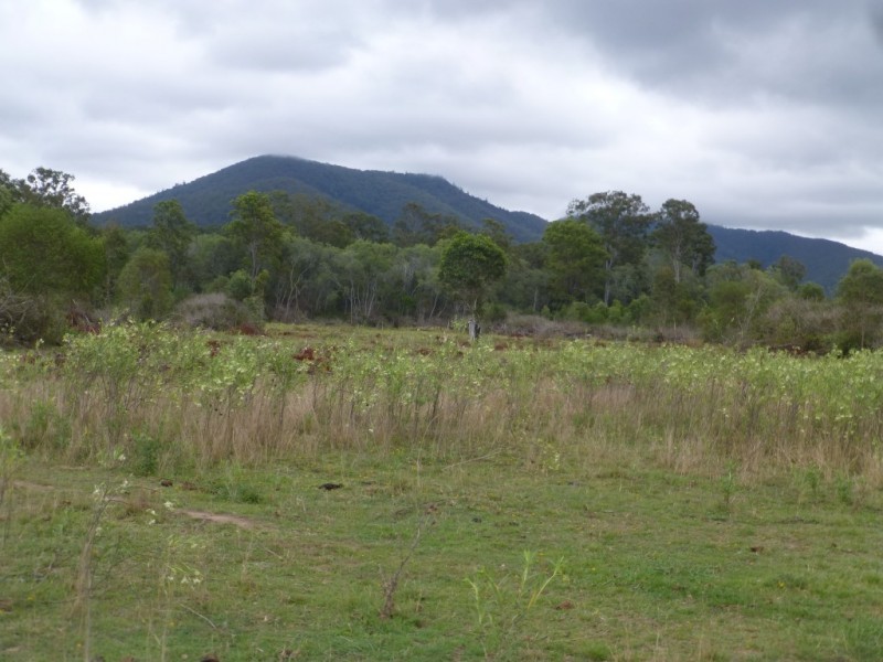 Lot 4,  EUREKA ROAD, GOLDEN FLEECE, Childers QLD 4660