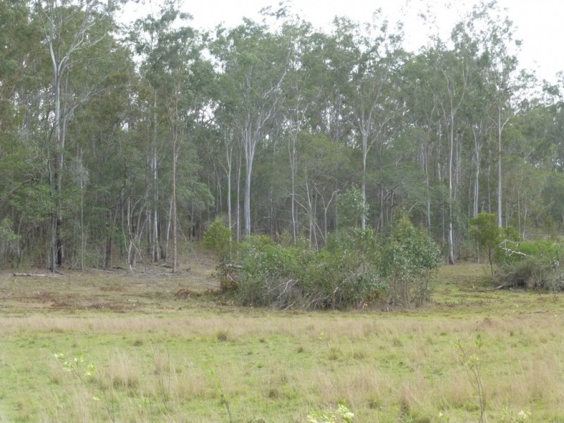 Lot 4,  EUREKA ROAD, GOLDEN FLEECE, Childers QLD 4660