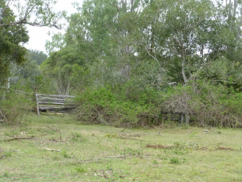 Lot 4,  EUREKA ROAD, GOLDEN FLEECE, Childers QLD 4660