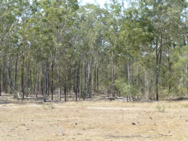 Lot 4,  EUREKA ROAD, GOLDEN FLEECE, Childers QLD 4660