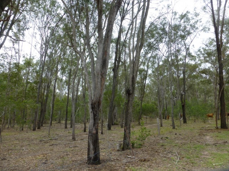Lot 15,  GOLDEN FLEECE ROAD, Biggenden QLD 4621