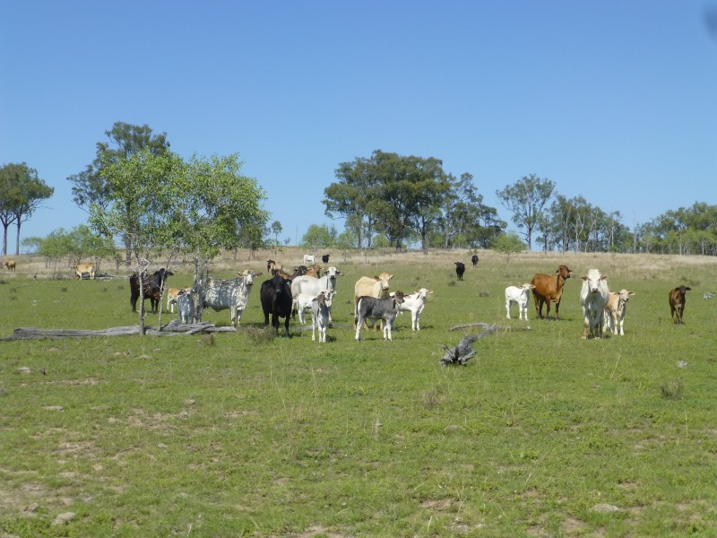 Gooroolba QLD 4625
