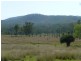 Gooroolba QLD 4625