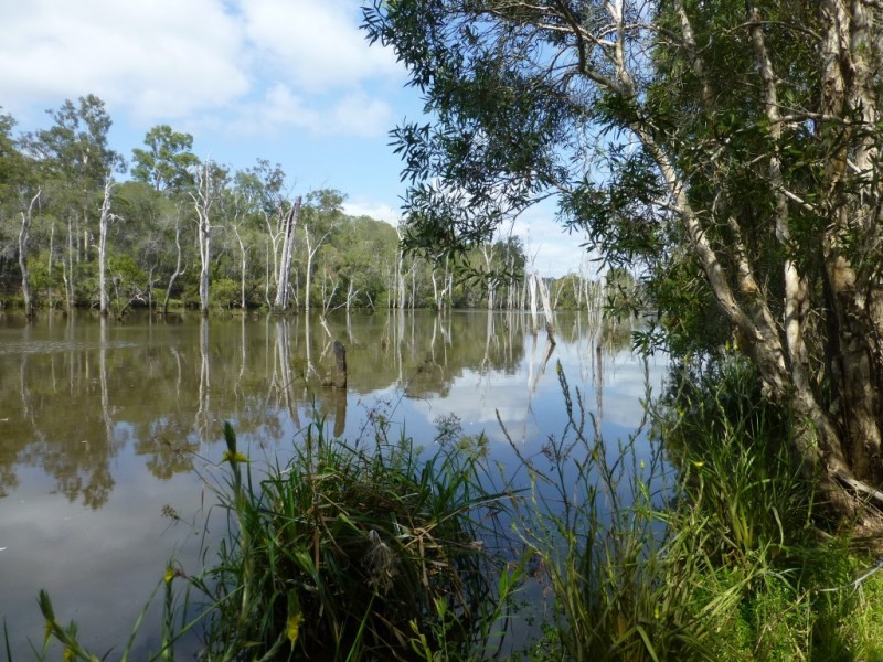 Lot 1,  WOODGATE ROAD, Woodgate QLD 4660