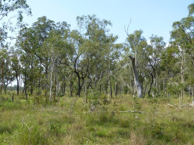 Lot 1,  WOODGATE ROAD, Woodgate QLD 4660