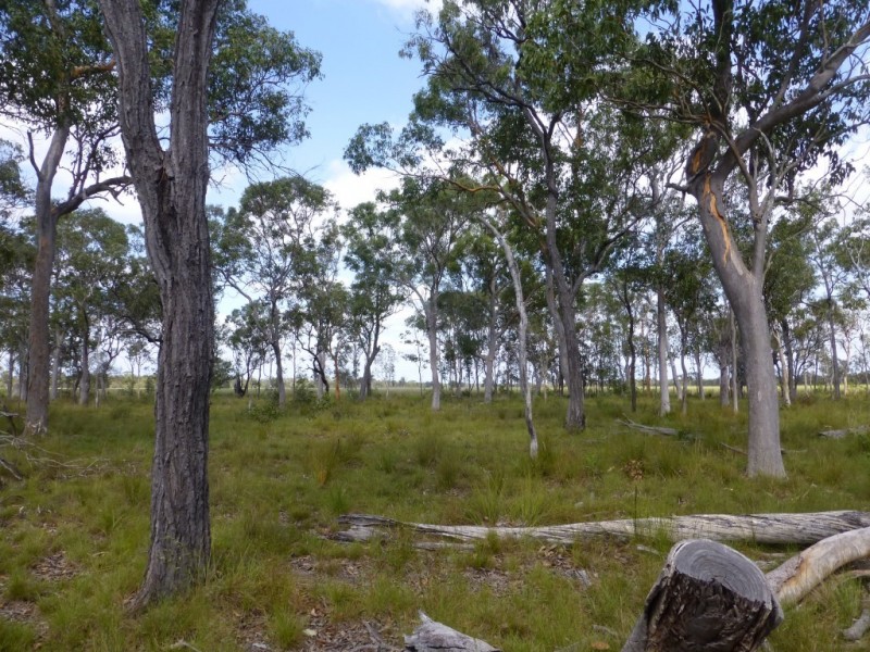 Lot 1,  WOODGATE ROAD, Woodgate QLD 4660