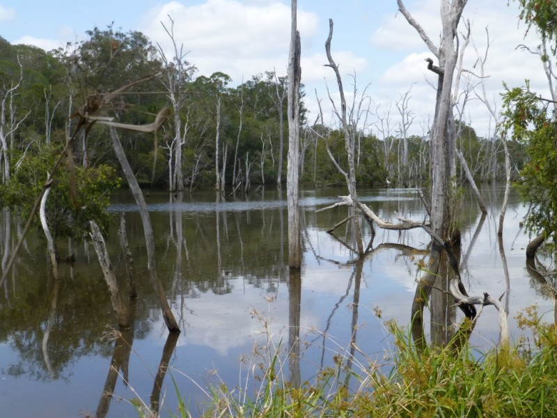 Lot 1,  WOODGATE ROAD, Woodgate QLD 4660