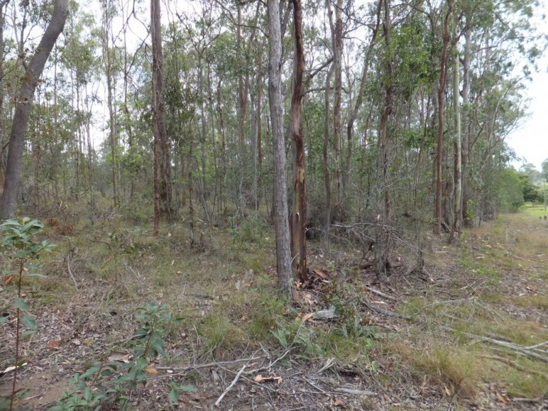 107 Ginns Road, South Isis QLD 4660