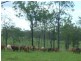 105 RAILWAY ROAD, Booyal QLD 4671