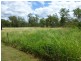 118 EUREKA ROAD, Golden Fleece QLD 4621