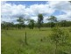 118 EUREKA ROAD, Golden Fleece QLD 4621