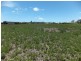 33 ONE WORLD DRIVE, Redridge QLD 4660