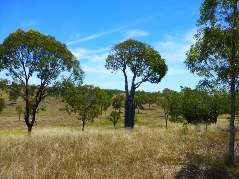 Dallarnil QLD 4621