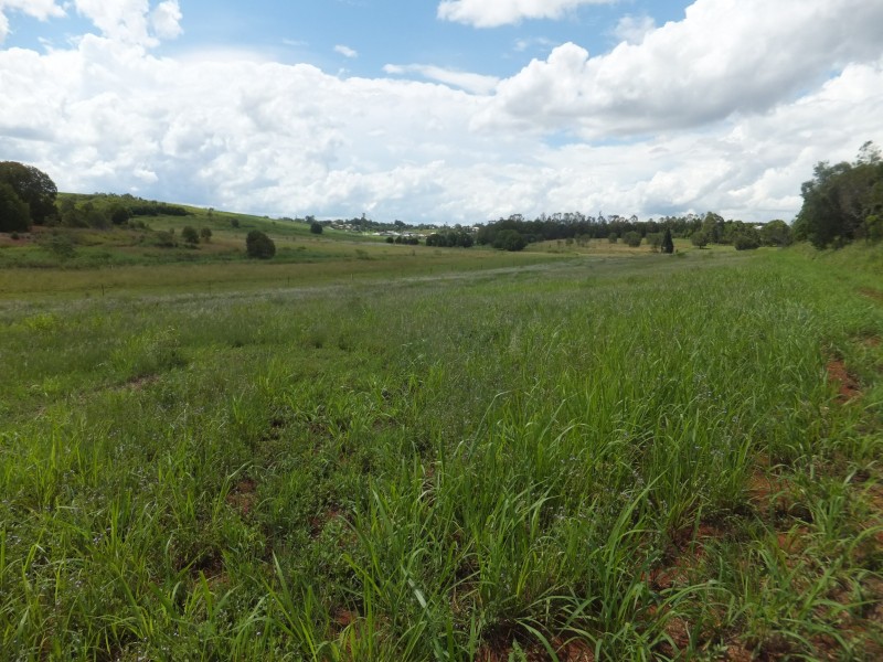 112 BUTCHERS ROAD, South Isis QLD 4660