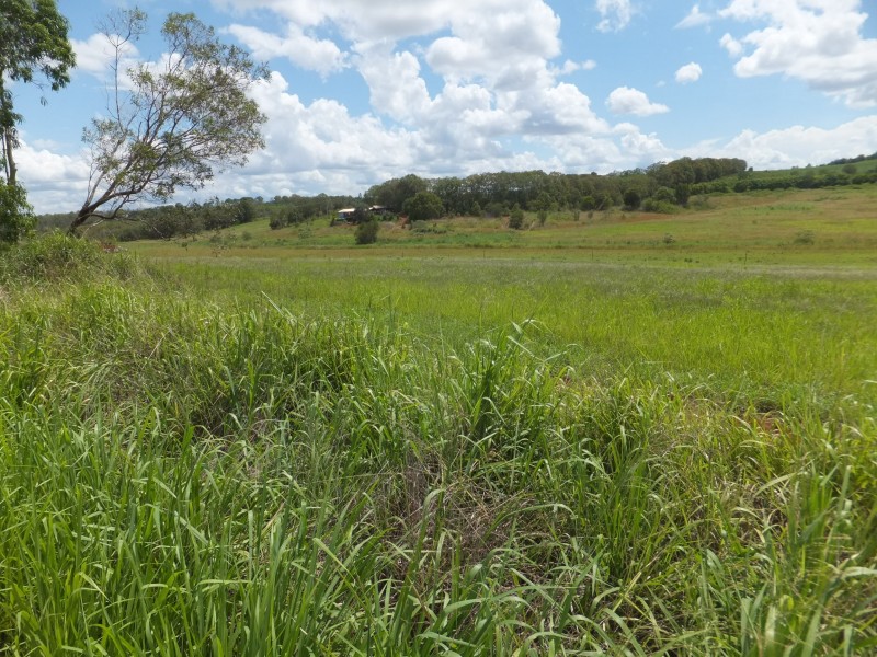 112 BUTCHERS ROAD, South Isis QLD 4660