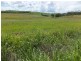 112 BUTCHERS ROAD, South Isis QLD 4660
