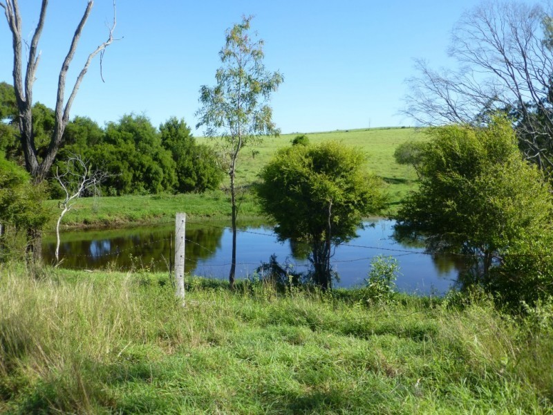 242 PEARCES ROAD, Dallarnil QLD 4621