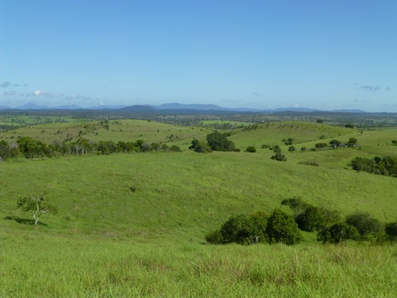 242 PEARCES ROAD, Dallarnil QLD 4621