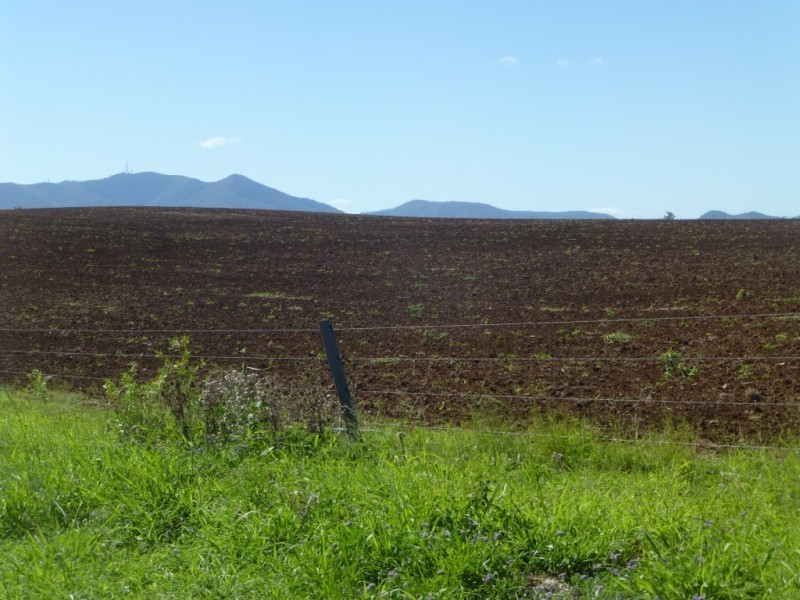 242 PEARCES ROAD, Dallarnil QLD 4621