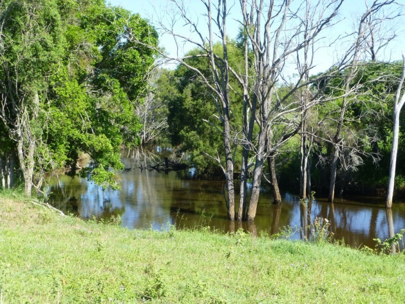 242 PEARCES ROAD, Dallarnil QLD 4621