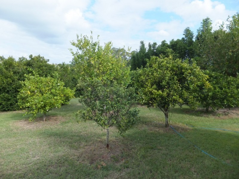 77 NORTH ISIS ROAD, North Isis QLD 4660