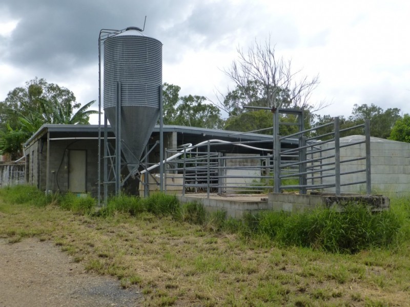 Woowoonga QLD 4621