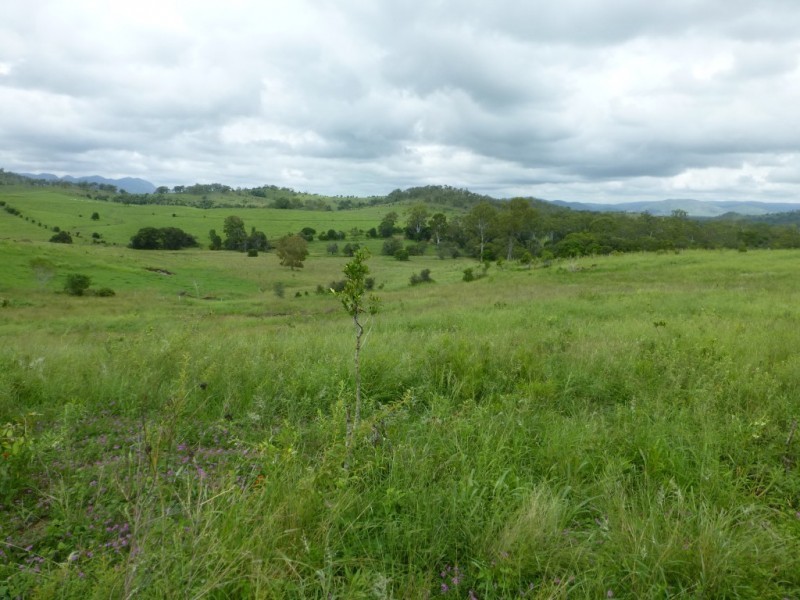 Woowoonga QLD 4621