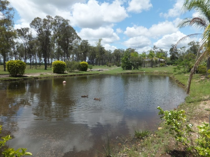 31 SUNNYBRAE CIRCUIT, Redridge QLD 4660