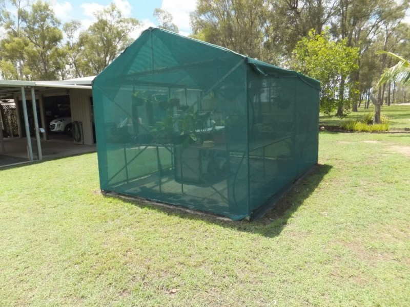 31 SUNNYBRAE CIRCUIT, Redridge QLD 4660