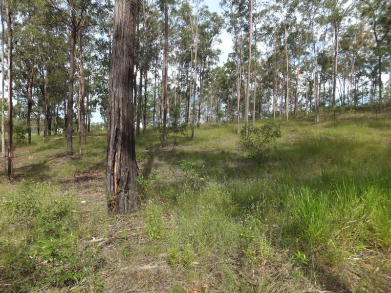 40 CHAPPELL HILLS ROAD, South Isis QLD 4660