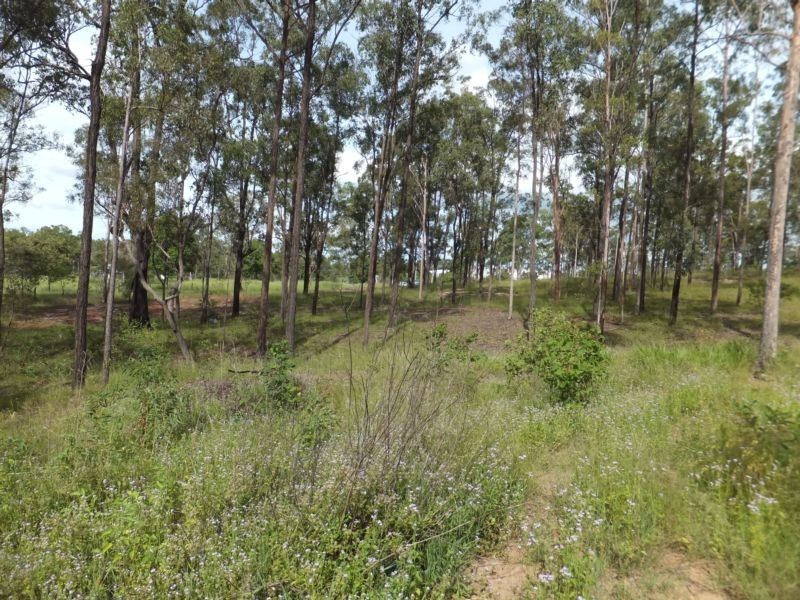 40 CHAPPELL HILLS ROAD, South Isis QLD 4660