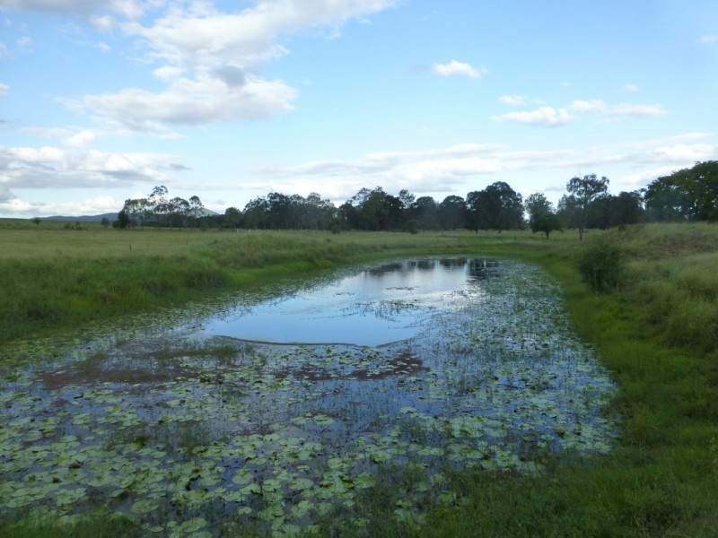 187 BELAH ROAD, Degilbo QLD 4621