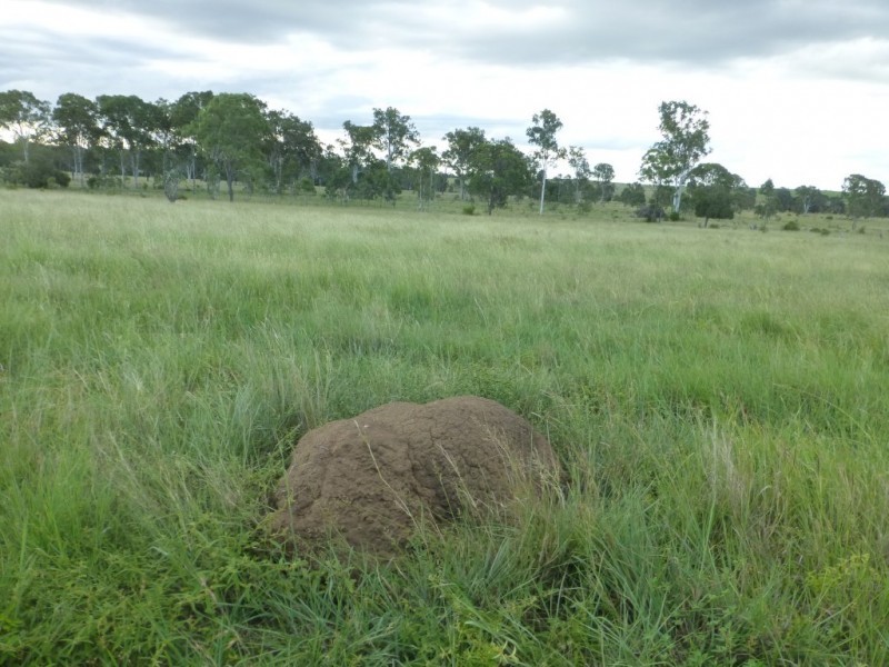 187 BELAH ROAD, Degilbo QLD 4621