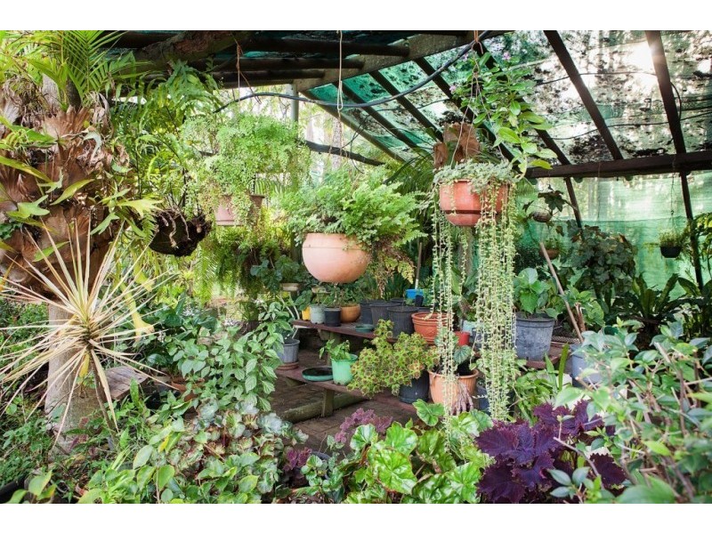 188 AERODROME ROAD, South Isis QLD 4660