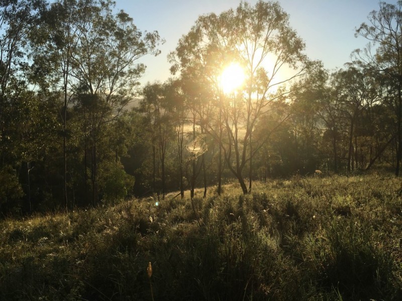 Lot 65,  WOOWOONGA HALL ROAD, Woowoonga QLD 4621