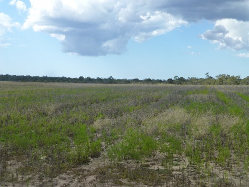 Abington QLD 4660