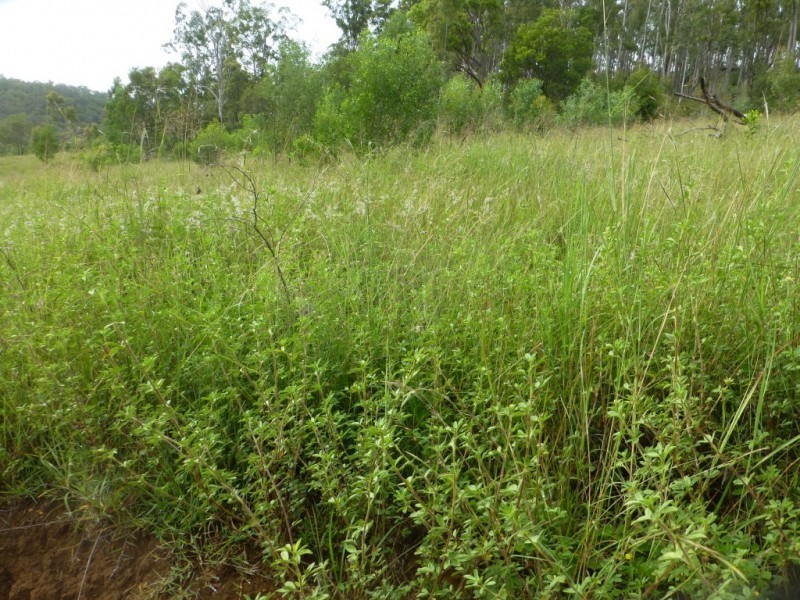 5608 BRUCE HIGHWAY, Tiaro QLD 4650