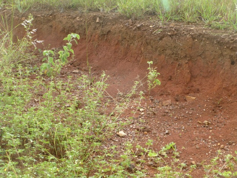 5608 BRUCE HIGHWAY, Tiaro QLD 4650