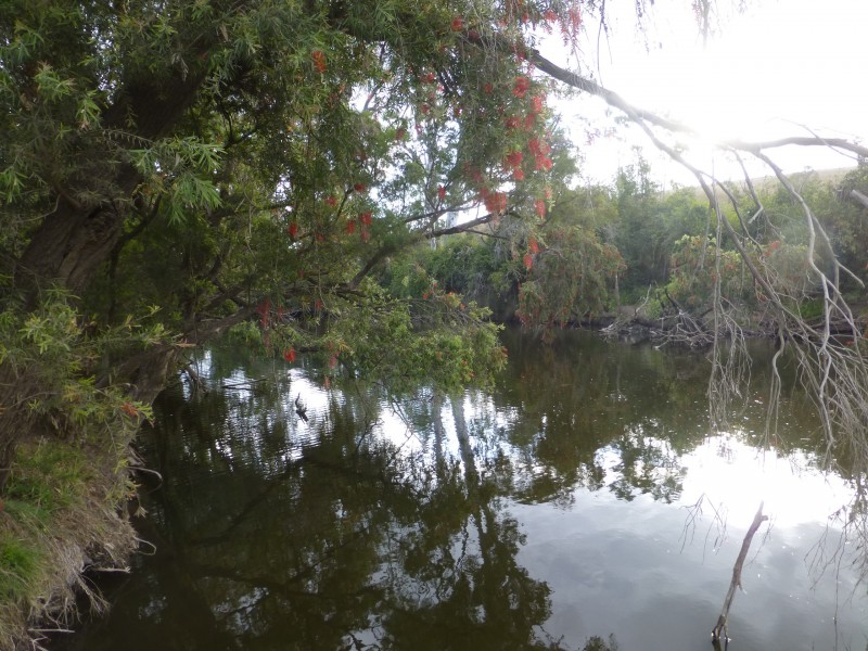 Dallarnil QLD 4621