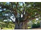690 NORTH ISIS ROAD, North Isis QLD 4660