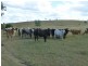 Coringa QLD 4621