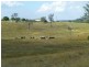Coringa QLD 4621