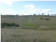 Coringa QLD 4621