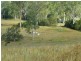 Coringa QLD 4621