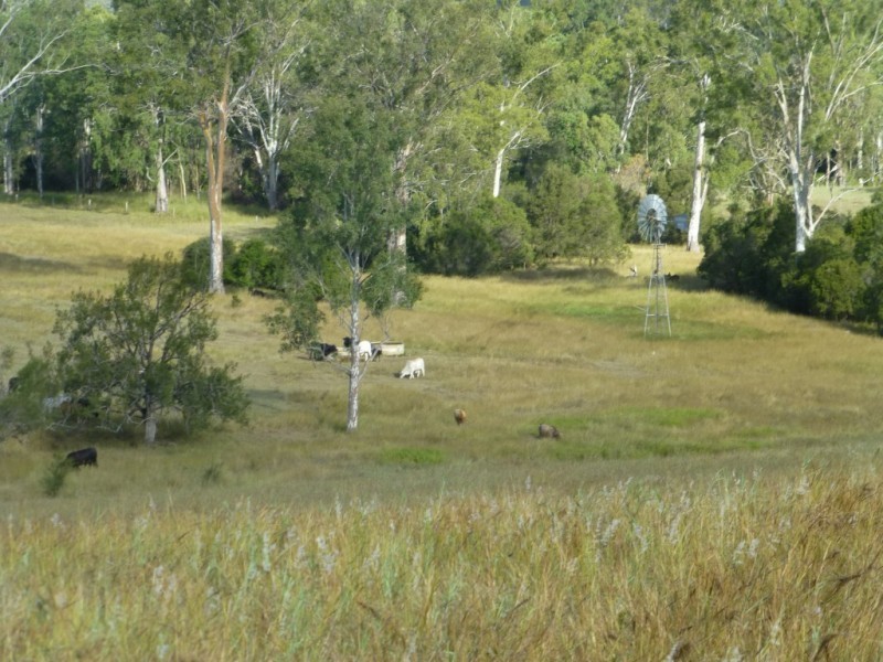 Coringa QLD 4621