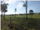 Wilson Valley QLD 4625