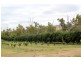 Mundubbera QLD 4626