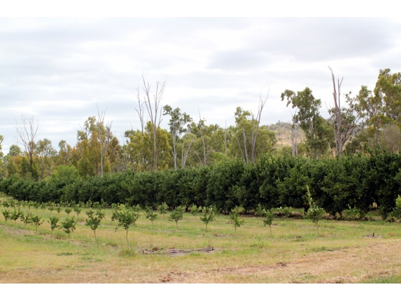 Mundubbera QLD 4626