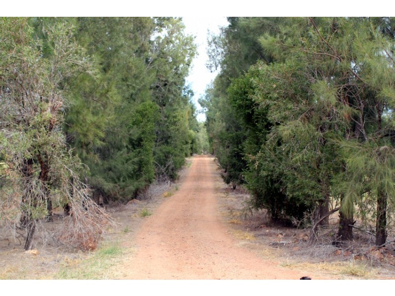 Mundubbera QLD 4626